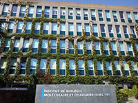IBMC